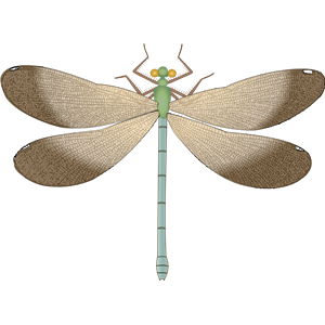 Dragonfly PNG-26269